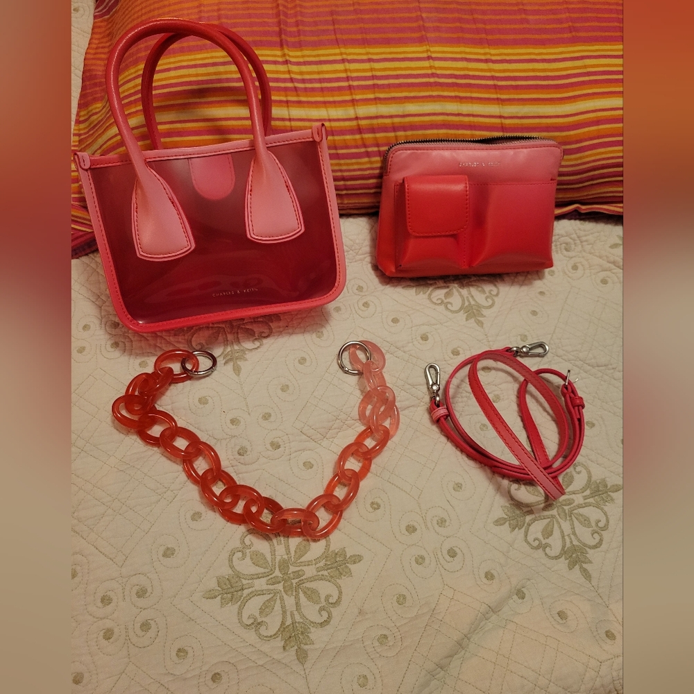 Charles & Keith Handbag
